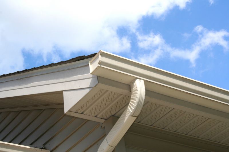 Gutter and Downspout Fixes